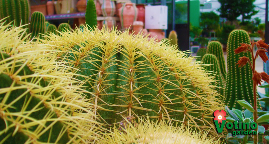 slidegarden13