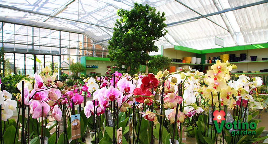 slidegarden6