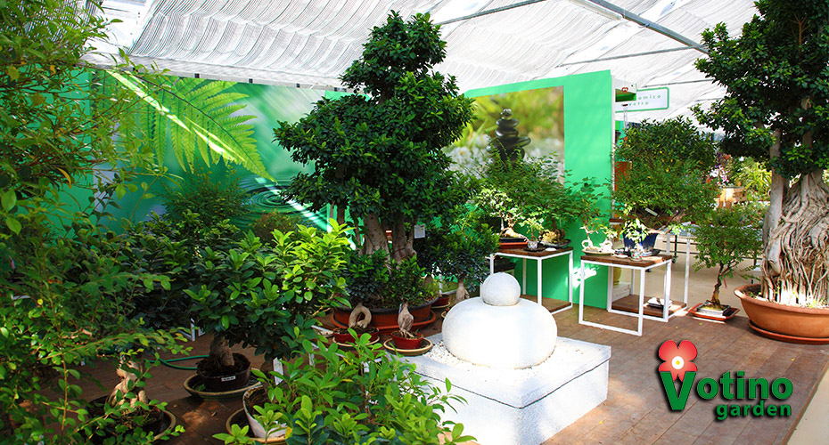 slidegarden7