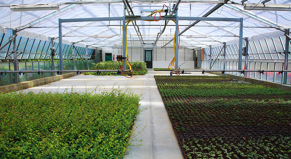 fslide2